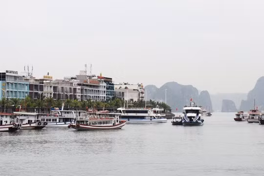 Quảng Ninh: Thu ngân sách đạt gần 27,2 nghìn tỷ đồng trong 6 tháng đầu năm