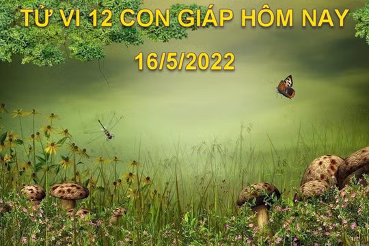 Tử vi 16/5/2022 hôm nay thứ 2 ngày 16/4 âm lịch của 12 con giáp