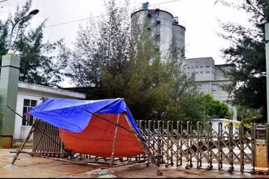 Vốn nhà nước bị “sa lầy” ở dự án xi măng Đại Việt, CFC, trách nhiệm thuộc về ai?
