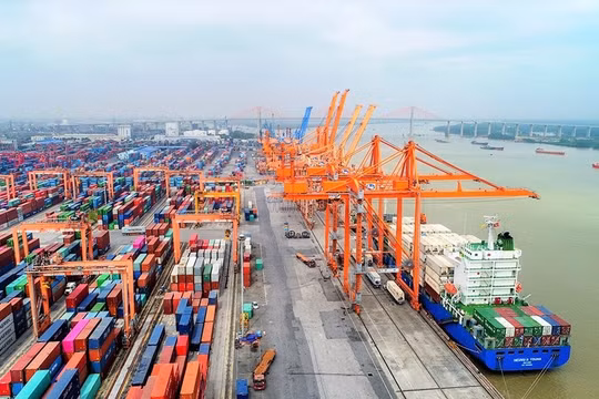 Bàn giải pháp giữ ổn định xuất nhập khẩu giữa Việt Nam - Nga