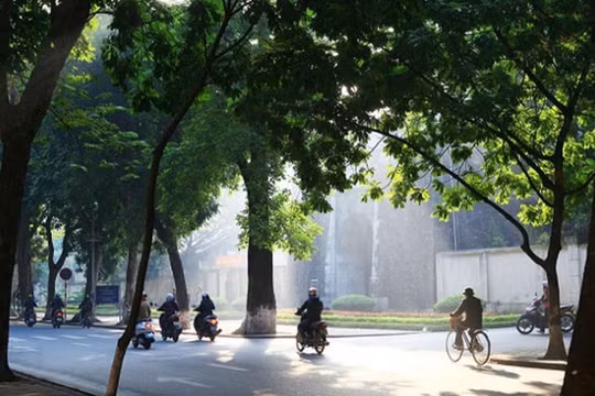 Dự báo thời tiết 15/12: Bắc Bộ đêm và sáng trời rét, trưa chiều nắng ấm