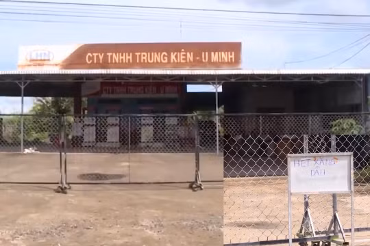 Khan hiếm dầu, Cà Mau kêu gọi không mua dự trữ