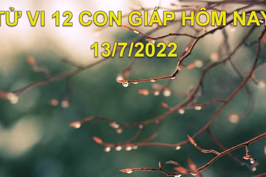 Tử vi 13/7/2022 hôm nay, thứ 4 ngày 15/6 âm lịch của 12 con giáp