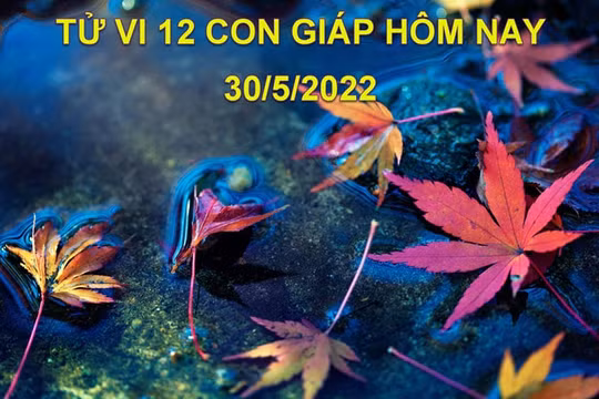 Tử vi 30/5/2022 hôm nay, thứ 2 ngày 30/4 âm lịch của 12 con giáp