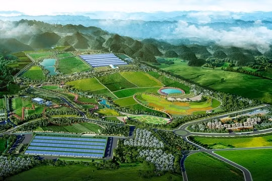Vinamilk và các công ty con công bố thông tin nhiều dự án mới