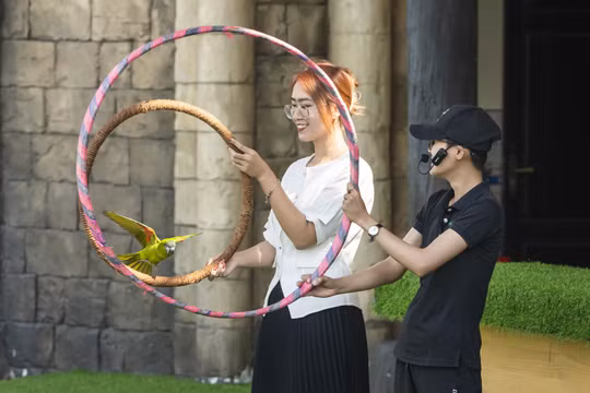 Show Vũ điệu chim trời lần đầu tiên có mặt ở Quảng Ninh