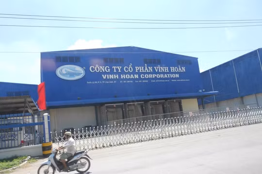 CTCP Vĩnh Hoàn (VHC) nợ phải trả tăng 1.700 tỷ trong nửa năm, chuẩn bị tạm ứng cổ tức bằng tiền tỷ lệ 20%