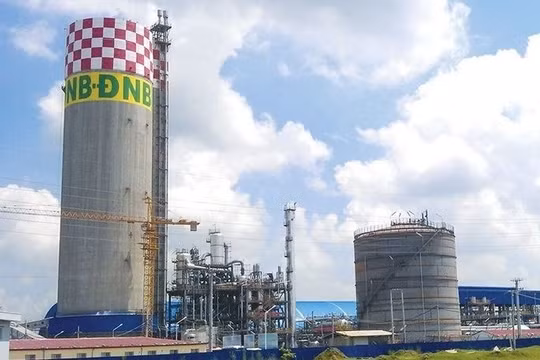Hoàn thiện ngay phương án xử lý 3 dự án của Tập đoàn Hóa chất để báo cáo Bộ Chính trị