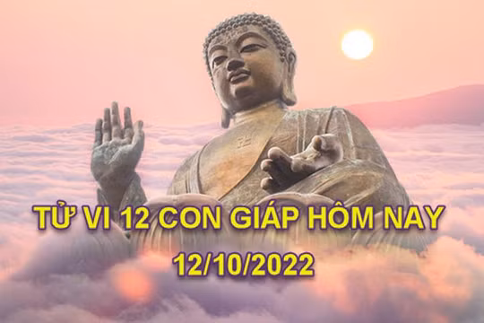 Tử vi hôm nay 12/10/2022, thứ 4 ngày 17/9 âm lịch của 12 con giáp