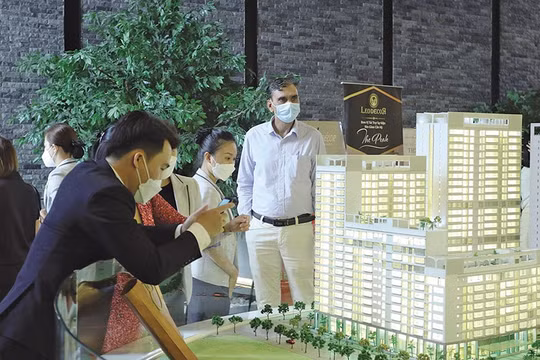 Chính phủ yêu cầu làm rõ việc tiếp cận đất đai của tổ chức kinh tế có vốn đầu tư nước ngoài