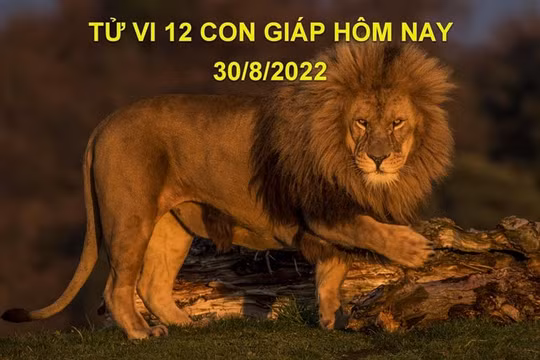 Tử vi hôm nay 30/8/2022, thứ 3 ngày 4/8 âm lịch của 12 con giáp