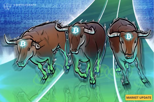 Giá Bitcoin hôm nay 23/11: Phục hồi, liệu có bền vững?