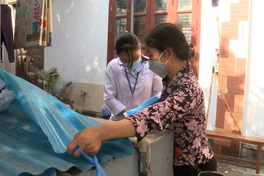 Hiệu quả của đội xung kích diệt bọ gậy tại địa phương