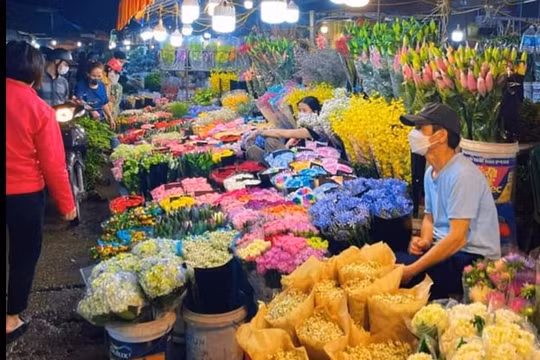 Giới trẻ Hà Nội đổ xô đi chợ hoa Quảng Bá hằng đêm