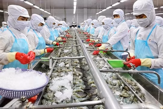 Xuất khẩu tôm nuôi tăng trưởng mạnh