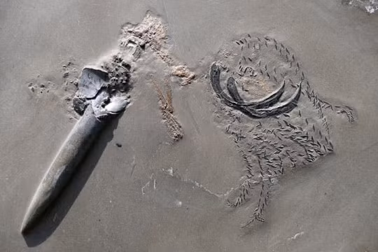 Phát hiện hóa thạch 4,2 tỷ năm tuổi có thể tiết lộ sự sống lâu đời nhất trên trái đất