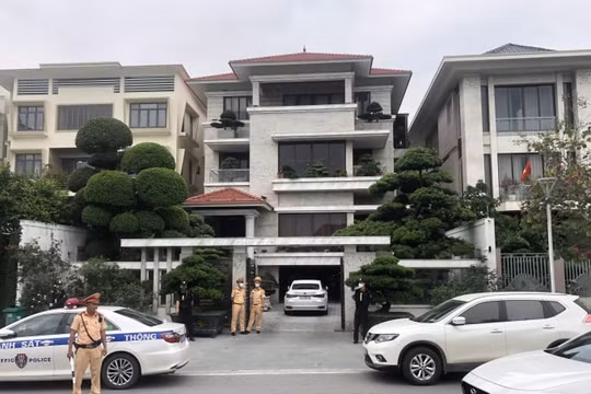 Nguyên Chủ tịch TP. Hạ Long có vai trò gì trong vụ án lừa đảo tại Công ty đường sông số 3