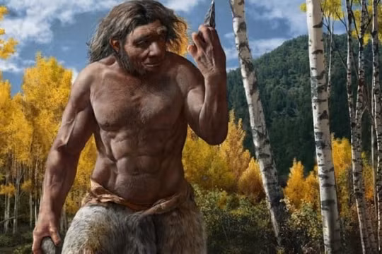 Nghiên cứu làm sáng tỏ tại sao con người hiện đại lợi thế hơn người Neanderthal