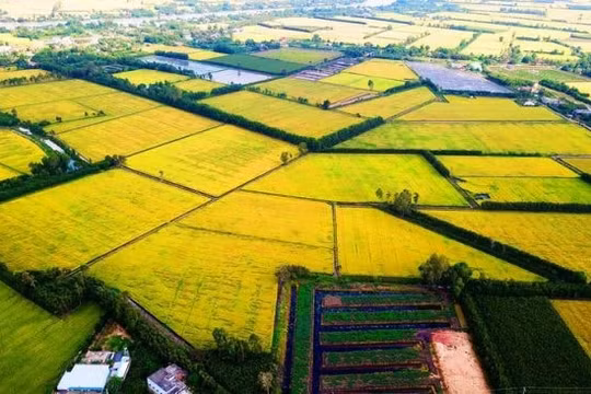 Xây dựng thành phố Cần Thơ thành trung tâm phát triển vùng ĐBSCL