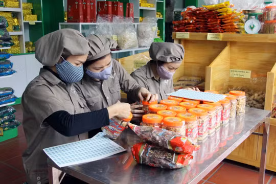 Thu hồi sản phẩm khuyết tật để bảo vệ quyền lợi người tiêu dùng