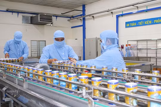 Cơ bản hoàn thành chuyển đổi sở hữu khối doanh nghiệp nhà nước vào 2025