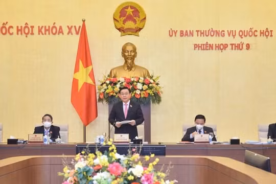 Bộ Tài chính phải làm rõ sự cần thiết duy trì Quỹ bảo vệ người được bảo hiểm