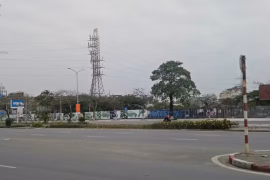 Hải Phòng: Cưỡng chế thu hồi "đất vàng" bỏ hoang 13 năm