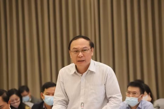 Bộ Tài nguyên và Môi trường: Có hiện tượng để lộ thông tin, thông đồng trong đấu giá đất