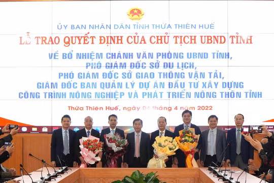 Thừa Thiên Huế: Điều động và bổ nhiệm nhiều lãnh đạo cấp sở