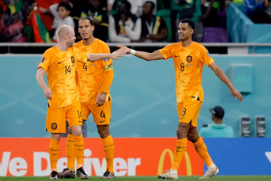 Nhận định Hà Lan vs Ecuador, 23h ngày 25/11 tại bảng A World Cup 2022