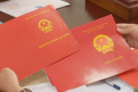Công chức tư pháp - hộ tịch xã bị buộc thôi việc do sử dụng bằng giả