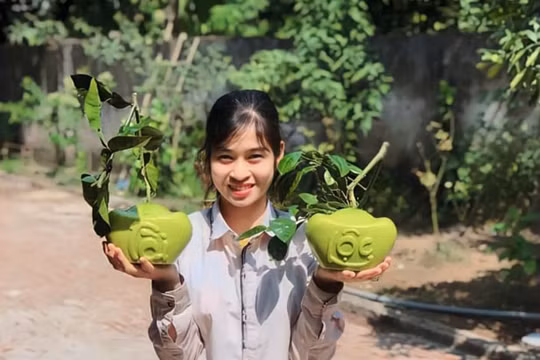 Nhiều nhà vườn cháy hàng loại bưởi Tài Lộc phục vụ Tết Nguyên đán 2023