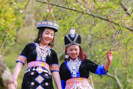 Xuân về trên cổng trời “Sa Pa” xứ Nghệ