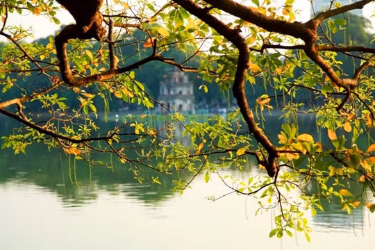 Dự báo thời tiết 30/10: Bắc Bộ, Bắc Trung Bộ sáng sớm sương mù nhẹ, trưa chiều trời nắng