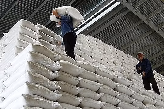 Chính phủ chỉ đạo xuất cấp hơn 484 tấn gạo cho tỉnh Hà Giang