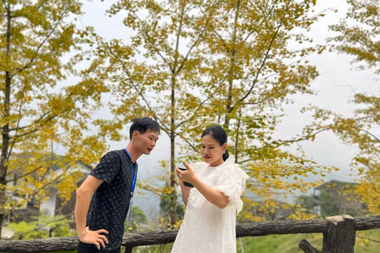 Sắc thu vàng quyến rũ như xứ Hàn ở vùng núi Sa Pa