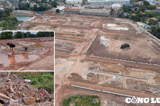 Liên tiếp trúng thầu tại thành phố Móng Cái, Công ty Trí Đức có được “ưu ái”?