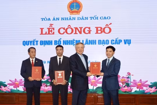Nhà báo Trần Đức Vinh giữ chức vụ Tổng biên tập Báo Công lý