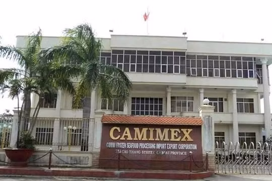 Camimex Group (CMX) cổ phiếu "bốc hơi" 2/3 giá trị, công ty vẫn phát hành 300 tỷ đồng trái phiếu