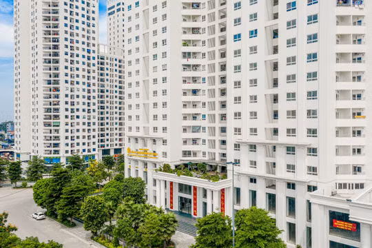 “Đỏ mắt” tìm chung cư dưới 30 triệu/m2 tại Hà Nội