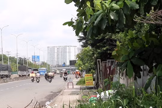 Không lo bị phạt, nhiều người vẫn chọn đi ngược chiều, sai làn để... nhanh hơn