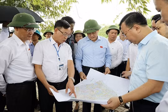 Cần đẩy nhanh tiến độ triển khai 3 nhà máy xử lý nước thải tại quận Long Biên