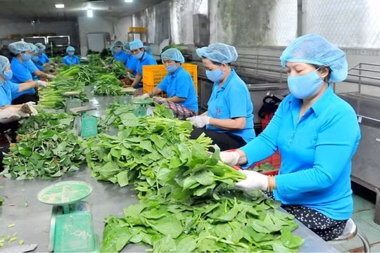 Doanh nghiệp, hợp tác xã, hộ kinh doanh được hỗ trợ lãi suất 2%/năm