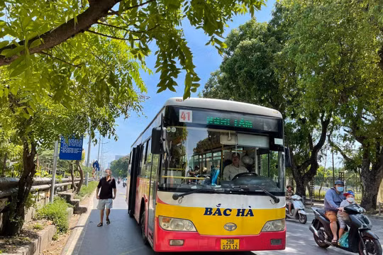 Có phương án thay thế sau khi công ty Bắc Hà dừng khai thác 5 tuyến buýt