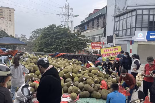 Nông sản chờ giải cứu nằm la liệt trên vỉa hè Hà Nội: “Của đau con xót”