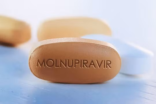 Đề nghị xử lý nghiêm vi phạm kinh doanh thuốc Molnupiravir
