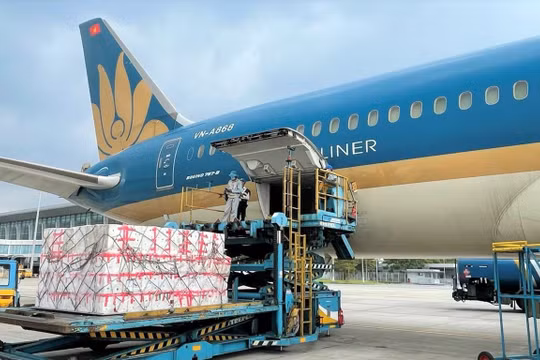 Thị trường vận chuyển hàng hóa đường hàng không chuyên dụng: Thị phần lớn chờ được khai phá