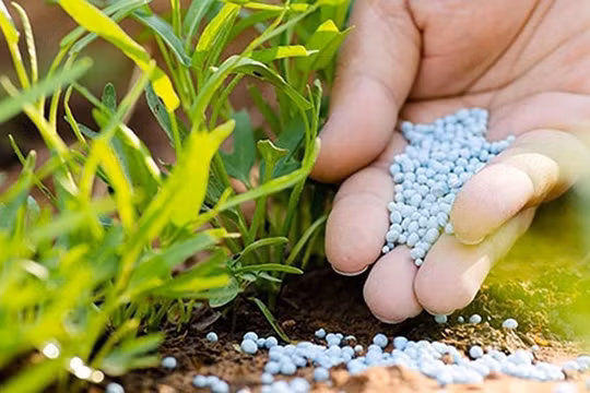 BSC: Năm 2023, ngành phân bón chịu thách thức lớn khi giá mức nền cao