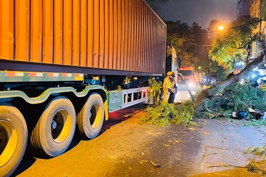 Hà Nội: Container đâm vào gốc cây, cành gãy đè trúng 1 học sinh