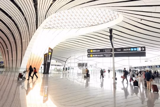 Du học sinh “đau đầu” với chi phí trở lại Trung Quốc